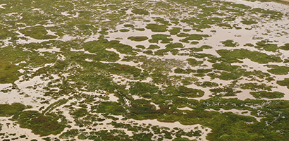 Impacto Medioambiental 410x200